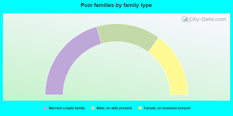 Poor families by family type