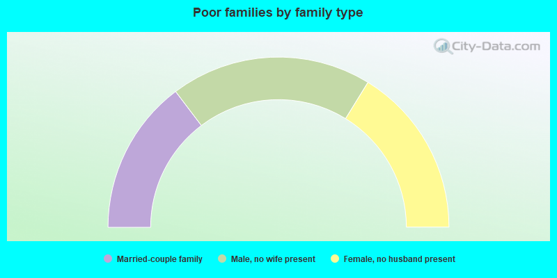 Poor families by family type