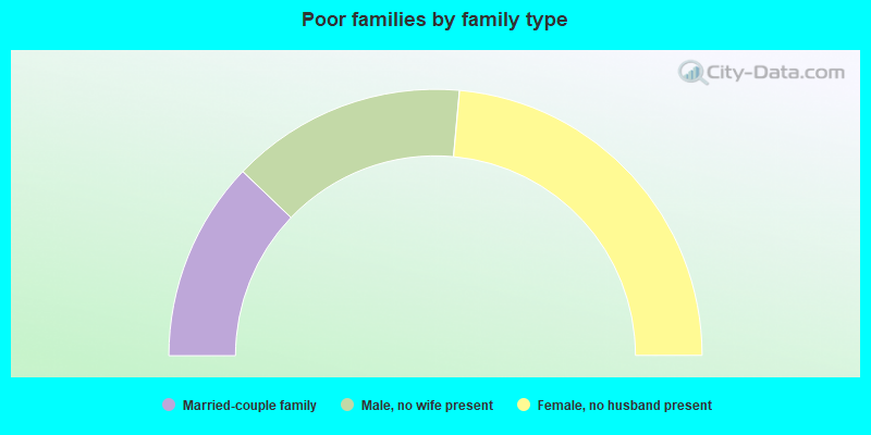 Poor families by family type