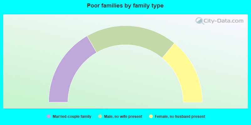 Poor families by family type