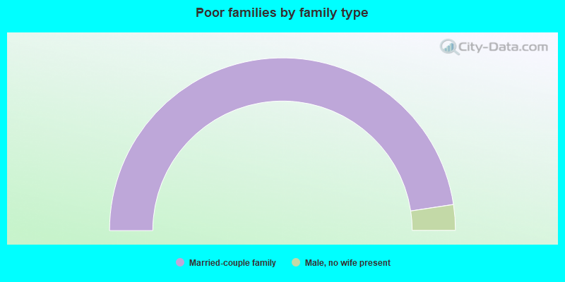 Poor families by family type