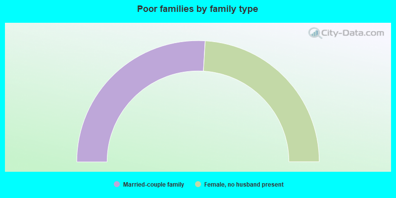 Poor families by family type