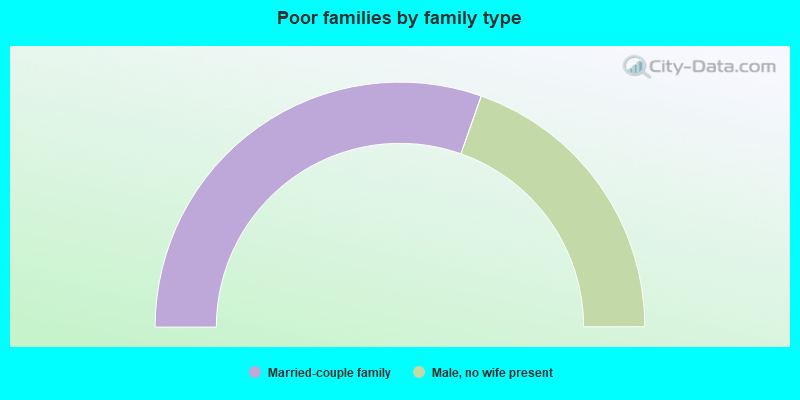 Poor families by family type