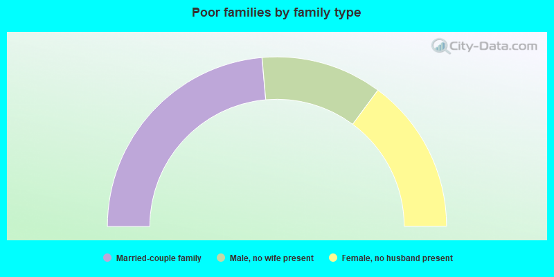 Poor families by family type