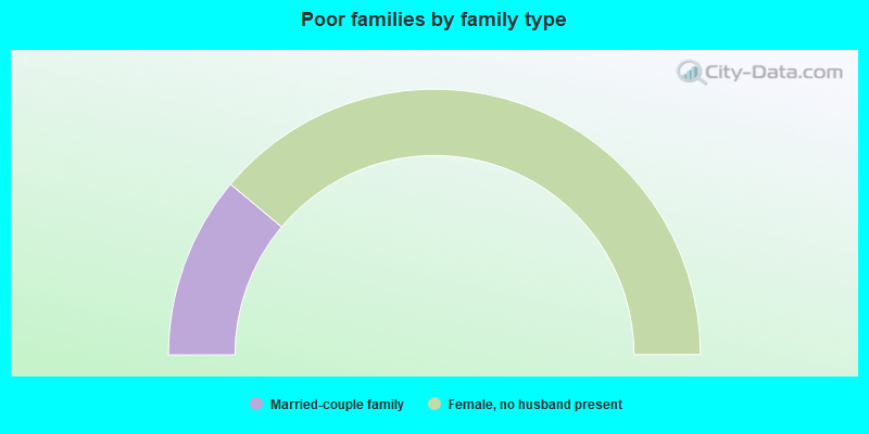 Poor families by family type