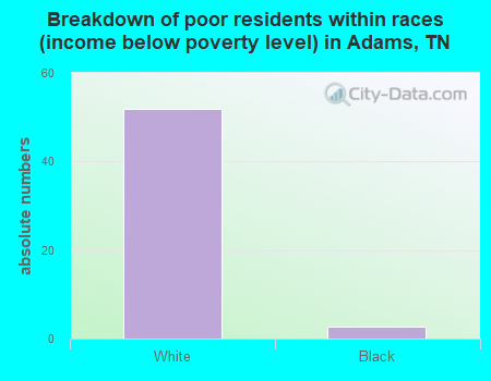 Breakdown of poor residents within races (income below poverty level) in Adams, TN