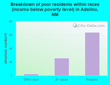 Breakdown of poor residents within races (income below poverty level) in Adelino, NM