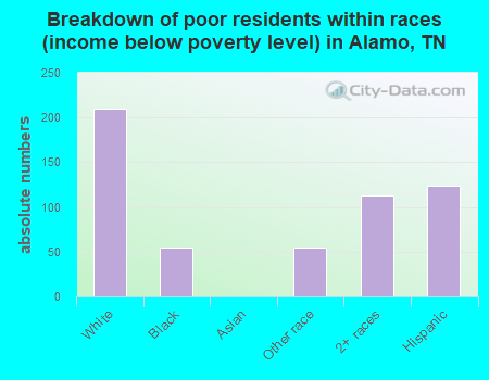 Breakdown of poor residents within races (income below poverty level) in Alamo, TN