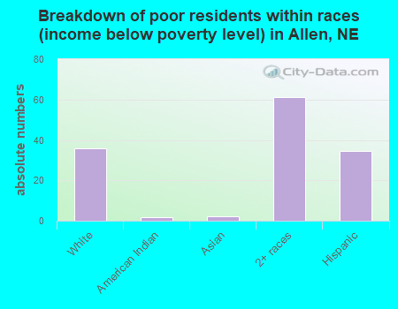 Breakdown of poor residents within races (income below poverty level) in Allen, NE