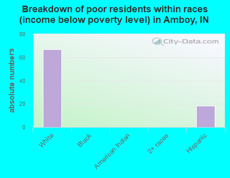 Breakdown of poor residents within races (income below poverty level) in Amboy, IN