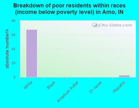 Breakdown of poor residents within races (income below poverty level) in Amo, IN