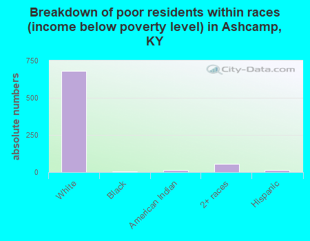 Breakdown of poor residents within races (income below poverty level) in Ashcamp, KY
