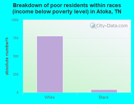 Breakdown of poor residents within races (income below poverty level) in Atoka, TN