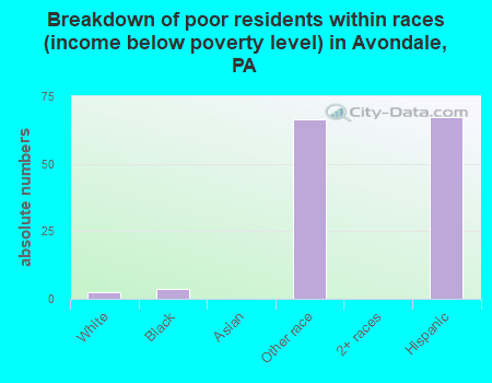 Breakdown of poor residents within races (income below poverty level) in Avondale, PA