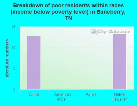 Breakdown of poor residents within races (income below poverty level) in Baneberry, TN