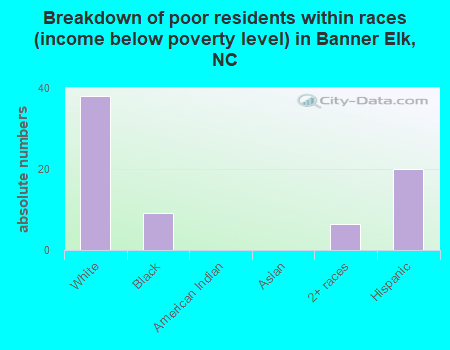Breakdown of poor residents within races (income below poverty level) in Banner Elk, NC