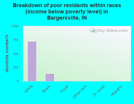 Breakdown of poor residents within races (income below poverty level) in Bargersville, IN