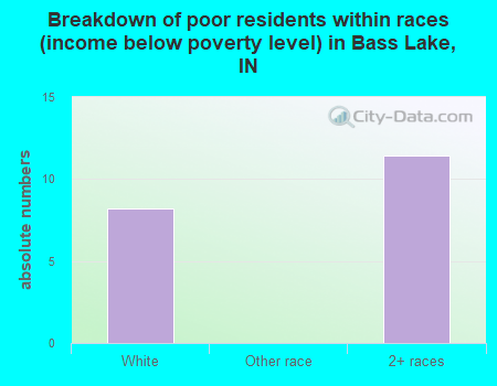 Breakdown of poor residents within races (income below poverty level) in Bass Lake, IN
