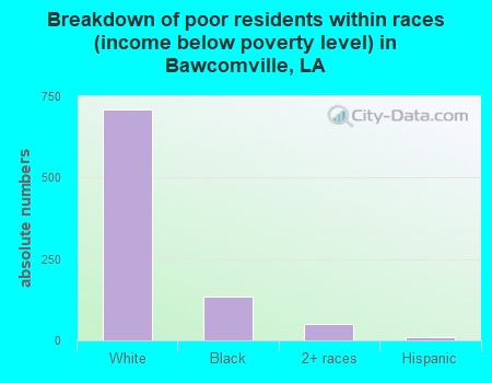 Breakdown of poor residents within races (income below poverty level) in Bawcomville, LA