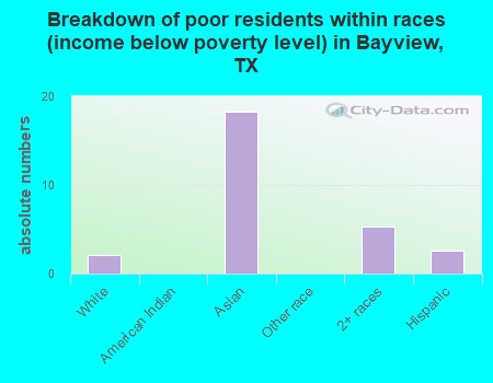 Breakdown of poor residents within races (income below poverty level) in Bayview, TX