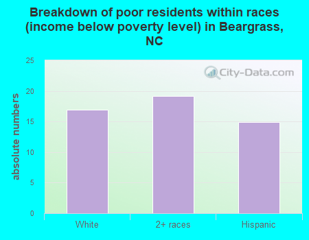 Breakdown of poor residents within races (income below poverty level) in Beargrass, NC