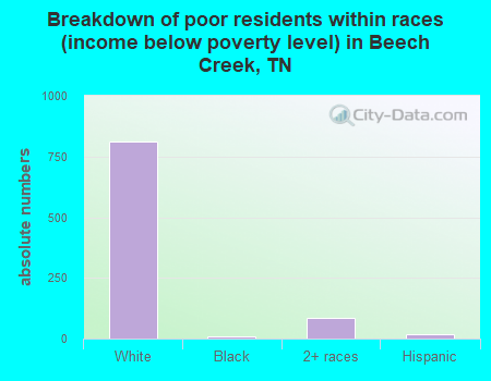 Breakdown of poor residents within races (income below poverty level) in Beech Creek, TN