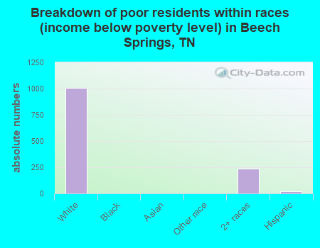 Breakdown of poor residents within races (income below poverty level) in Beech Springs, TN