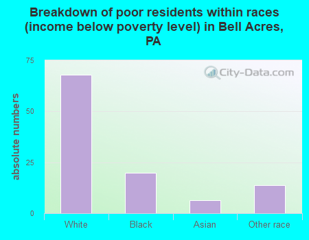 Breakdown of poor residents within races (income below poverty level) in Bell Acres, PA