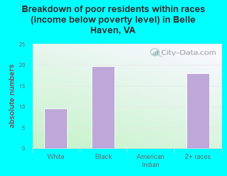 Breakdown of poor residents within races (income below poverty level) in Belle Haven, VA