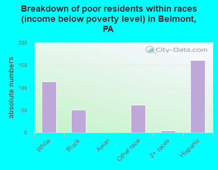 Breakdown of poor residents within races (income below poverty level) in Belmont, PA