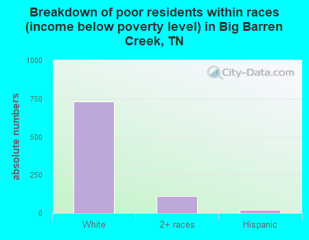 Breakdown of poor residents within races (income below poverty level) in Big Barren Creek, TN