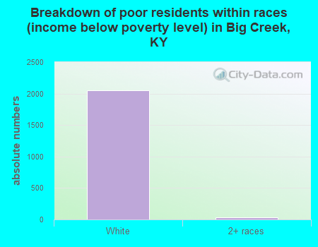 Breakdown of poor residents within races (income below poverty level) in Big Creek, KY