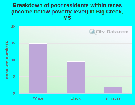 Breakdown of poor residents within races (income below poverty level) in Big Creek, MS