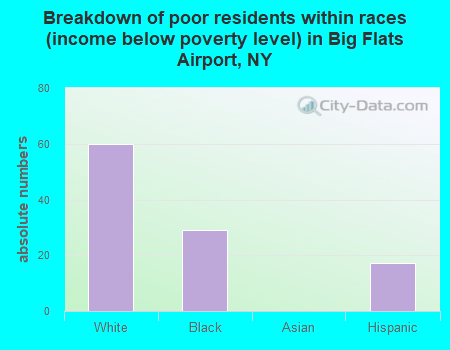 Breakdown of poor residents within races (income below poverty level) in Big Flats Airport, NY