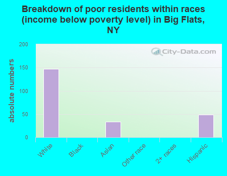 Breakdown of poor residents within races (income below poverty level) in Big Flats, NY