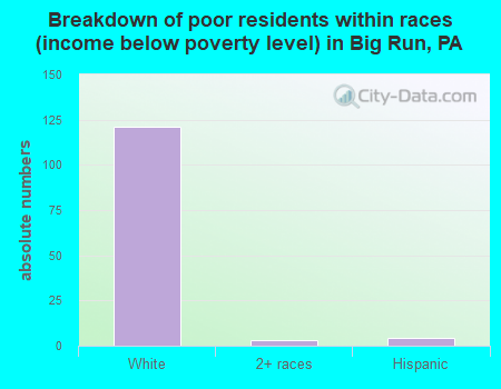 Breakdown of poor residents within races (income below poverty level) in Big Run, PA