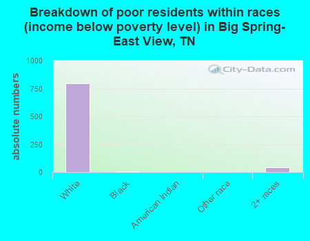 Breakdown of poor residents within races (income below poverty level) in Big Spring-East View, TN