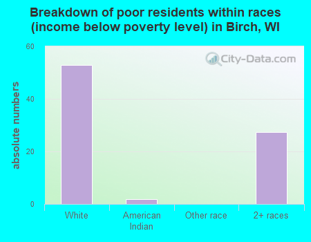 Breakdown of poor residents within races (income below poverty level) in Birch, WI