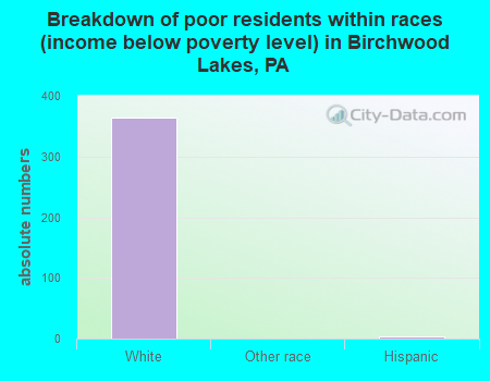 Breakdown of poor residents within races (income below poverty level) in Birchwood Lakes, PA