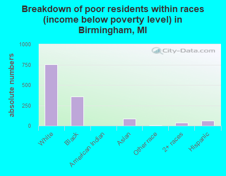 Breakdown of poor residents within races (income below poverty level) in Birmingham, MI