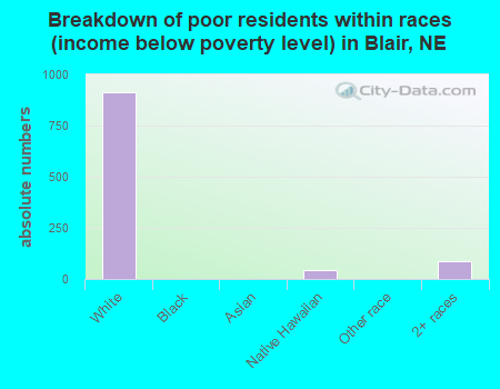 Breakdown of poor residents within races (income below poverty level) in Blair, NE