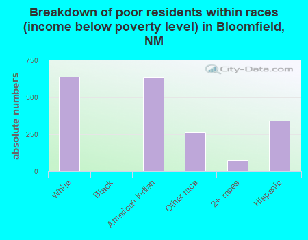 Breakdown of poor residents within races (income below poverty level) in Bloomfield, NM