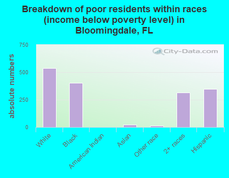 Breakdown of poor residents within races (income below poverty level) in Bloomingdale, FL