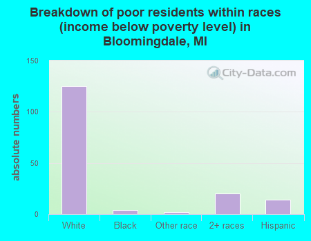 Breakdown of poor residents within races (income below poverty level) in Bloomingdale, MI