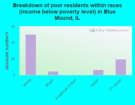 Breakdown of poor residents within races (income below poverty level) in Blue Mound, IL