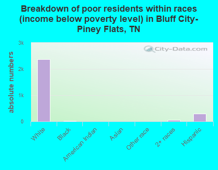 Breakdown of poor residents within races (income below poverty level) in Bluff City-Piney Flats, TN