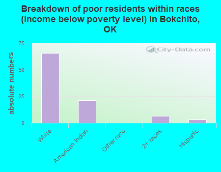 Breakdown of poor residents within races (income below poverty level) in Bokchito, OK