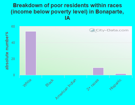 Breakdown of poor residents within races (income below poverty level) in Bonaparte, IA