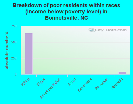 Breakdown of poor residents within races (income below poverty level) in Bonnetsville, NC