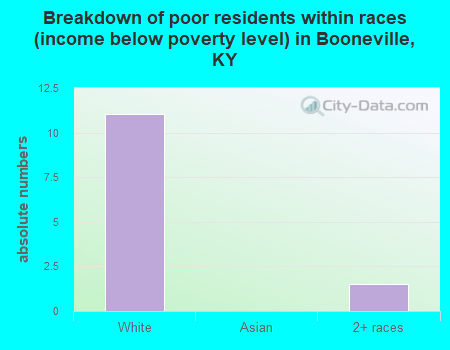 Breakdown of poor residents within races (income below poverty level) in Booneville, KY